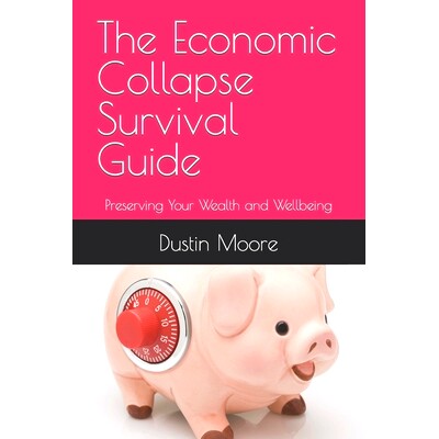 预订 The Economic Collapse Survival Guide: Preserving Your Wealth and Wellbeing: 9798320197159