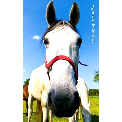 预订 Agenda de Senhas: Agenda Para Enderecos Eletronicos E Senhas: Capa Cavalo Curioso - Portugues (Brasil): 97815429248