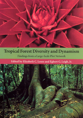 【预订】Tropical Forest Diversity and Dynamism 9780226493459
