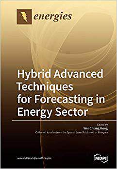 【预售】Hybrid Advanced Techniques for Forecasting in Energy Sector