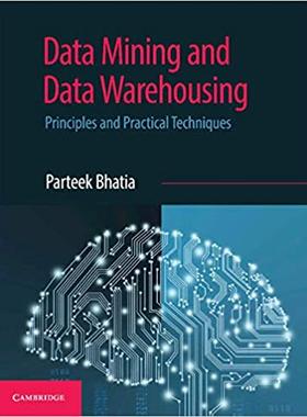 【预订】Data Mining and Data Warehousing 数据挖掘和数据仓储：原理与实用技术