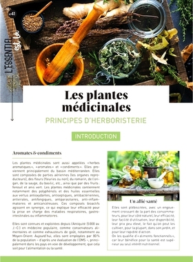 预订 Les plantes médicinales : principes d’herboristerie *植物：草药学原理: 9782383553250
