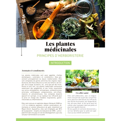 预订 Les plantes médicinales : principes d’herboristerie *植物：草药学原理: 9782383553250