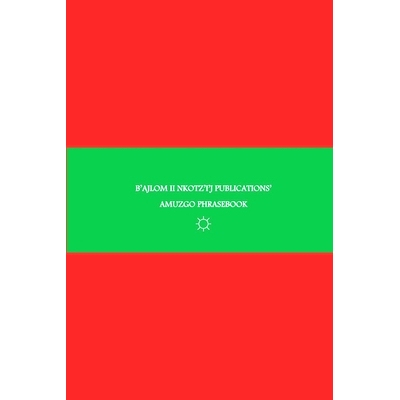 预订 B’ajlom ii Nkotz’i’j Publications’ Amuzgo Phrasebook: Ideal for Traveling to San Pedro Amuzgos in Oaxaca, Mexic