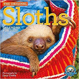 【预售】Original Sloths Wall Calendar 2020