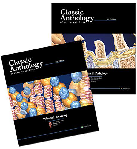 【预订】Classic Anthology of Anatomical Charts Book