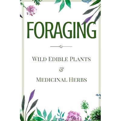 预订 Foraging: A Beginner’s Guide to Foraging Wild Edible Plants and Medicinal Herbs: 9781530263196