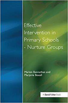 【预售】Effect Intervention in Primary School