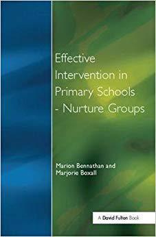 【预售】Effect Intervention in Primary School