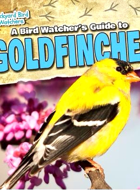 预订 A Bird Watcher’s Guide to Goldfinches: 9781482439038