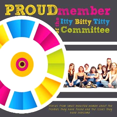 预订 Proud Member of the Itty Bitty Titty Committee: 9781495261480