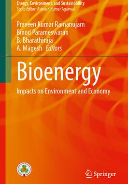 [预订]Bioenergy: Impacts on Environment and Economy 9789819930012