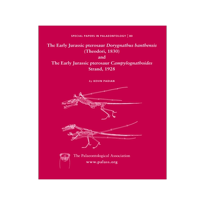 [预订]Early Jurassic Pterosaur Dorygnathus Banthensis (Theodori, 1830) And The Early Jurassic Pterosaur Campylognathoi
