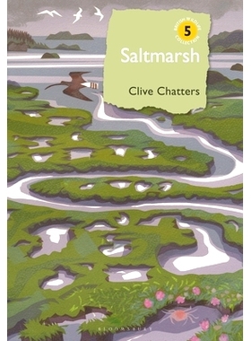 预订 Saltmarsh 盐沼: 9781399404822