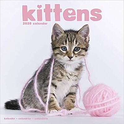 【预售】Kittens Calendar 2020