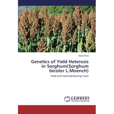 预订 Genetics of Yield Heterosis in Sorghum(sorghum Bicolor L.Moench): 9783659437717