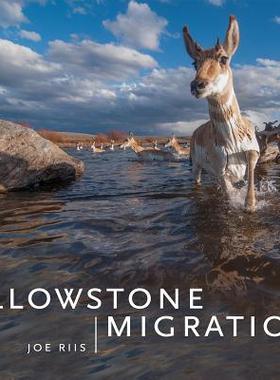 [预订]Yellowstone Migrations 9781680510898