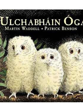 预订 Ulchabháin Óga (Owl Babies) Ulchabháin Óga（猫头鹰宝宝）: 9781406341126