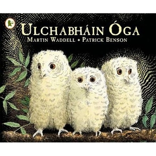 预订 Ulchabháin Óga (Owl Babies) Ulchabháin Óga(猫头鹰宝宝): 9781406341126