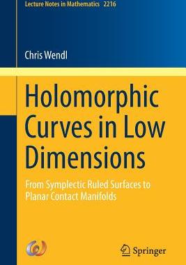 预订 Holomorphic Curves in Low Dimensions