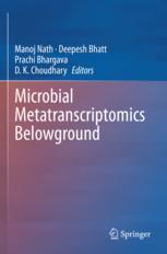 【预订】Microbial Metatranscriptomics Belowground 9789811597602
