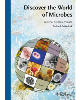 【预订】Discover The World Of Microbes - Bacteria, Archaea And Viruses