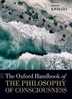 现货 The Oxford Handbook of the Philosophy of Consciousness 9780198899655