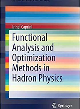【预售】Functional Analysis and Optimization Methods in Hadron Physics
