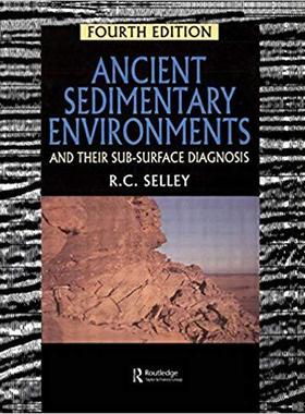 【预售】Ancient Sedimentary Environments