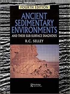 【预售】Ancient Sedimentary Environments