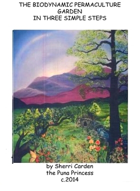 预订 The Biodynamic Permaculture Garden: In Three Simple Steps: 9781499719468