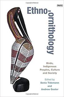 ornithology Ethno 预售