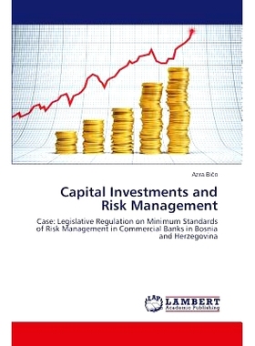 预订 Capital Investments and Risk Management: 9783659475702