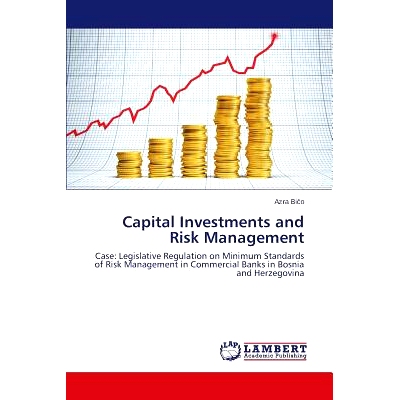 预订 Capital Investments and Risk Management: 9783659475702