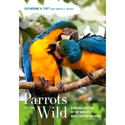 预订 Parrots of the Wild: A Natural History of the World’s Most Captivating Birds 野生鹦鹉：世界上*迷人鸟类自然史: 9780