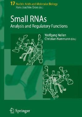【预订】Small RNAs: