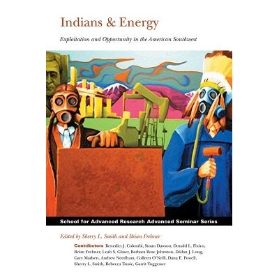 预订 Indians & Energy 印第安人与能源：美国西南部的勘探与机遇: 9781934691151