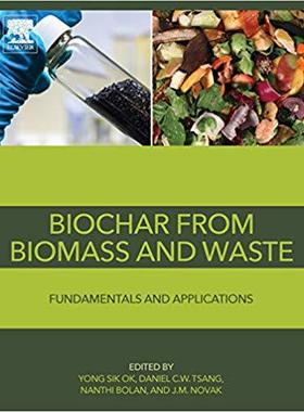 【预售】Biochar from Biomass
