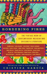 Fires Literature Contemporary 预售 Bordering Mexican Vintage The Chicano Book and