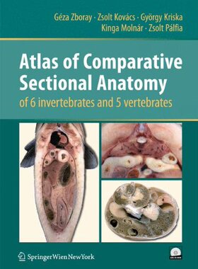 【预订】Atlas of Comparative Sectional Anatomy of 6 invertebrates and 5 vertebrates