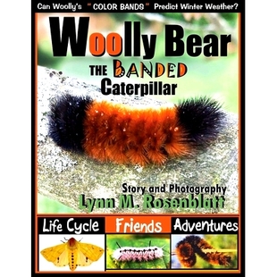 and 9781733473255 the Life Cycle Caterpillar Bear Banded Adventures 预订 Friends Woolly