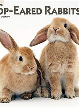 【预售】Lop Eared Rabbits 2020 Square