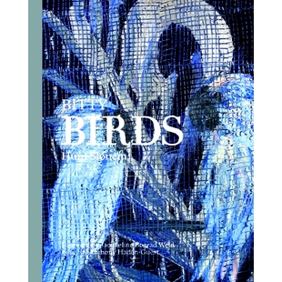 小鸟 Birds 9781943876518 Bitty 预订