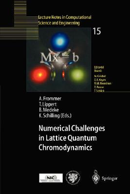 【预订】Numerical Challenges in Lattice Quantum Chromodynamics