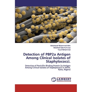 预订 Detection of PBP2a Antigen Among Clinical Isolates of Staphylococci.: Detection of Penicillin Binding Protein 2a An