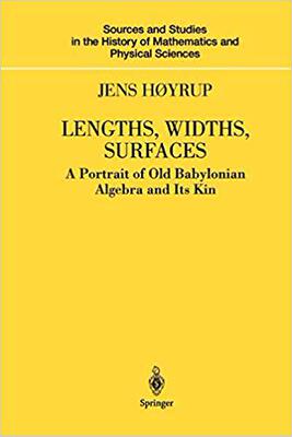 【预订】Lengths, Widths, Surfaces 9781441929457