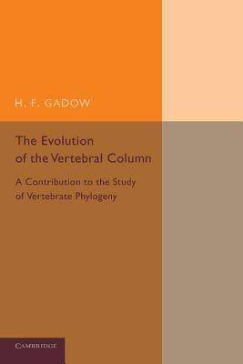 【预订】The Evolution of the Vertebral Column