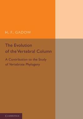 【预订】The Evolution of the Vertebral Column