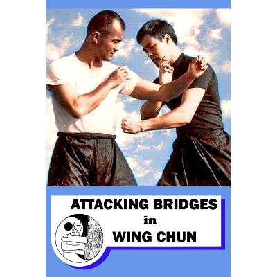 预订 Attacking Bridges in Wing Chun: 9781974281534