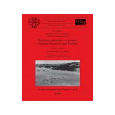 [预订]Section 15: Préhistoire en Afrique / African Prehistory 9781841719597